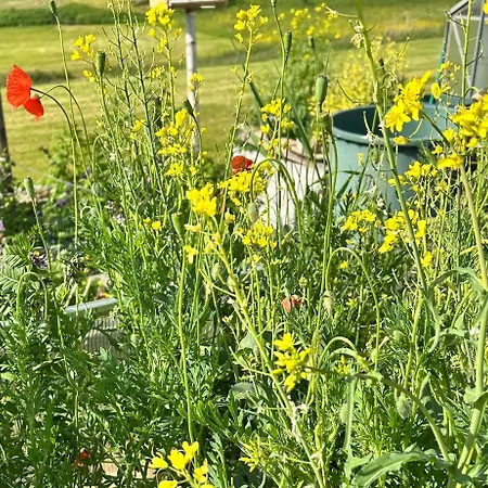 Atempause Schwarzwald Appartamento